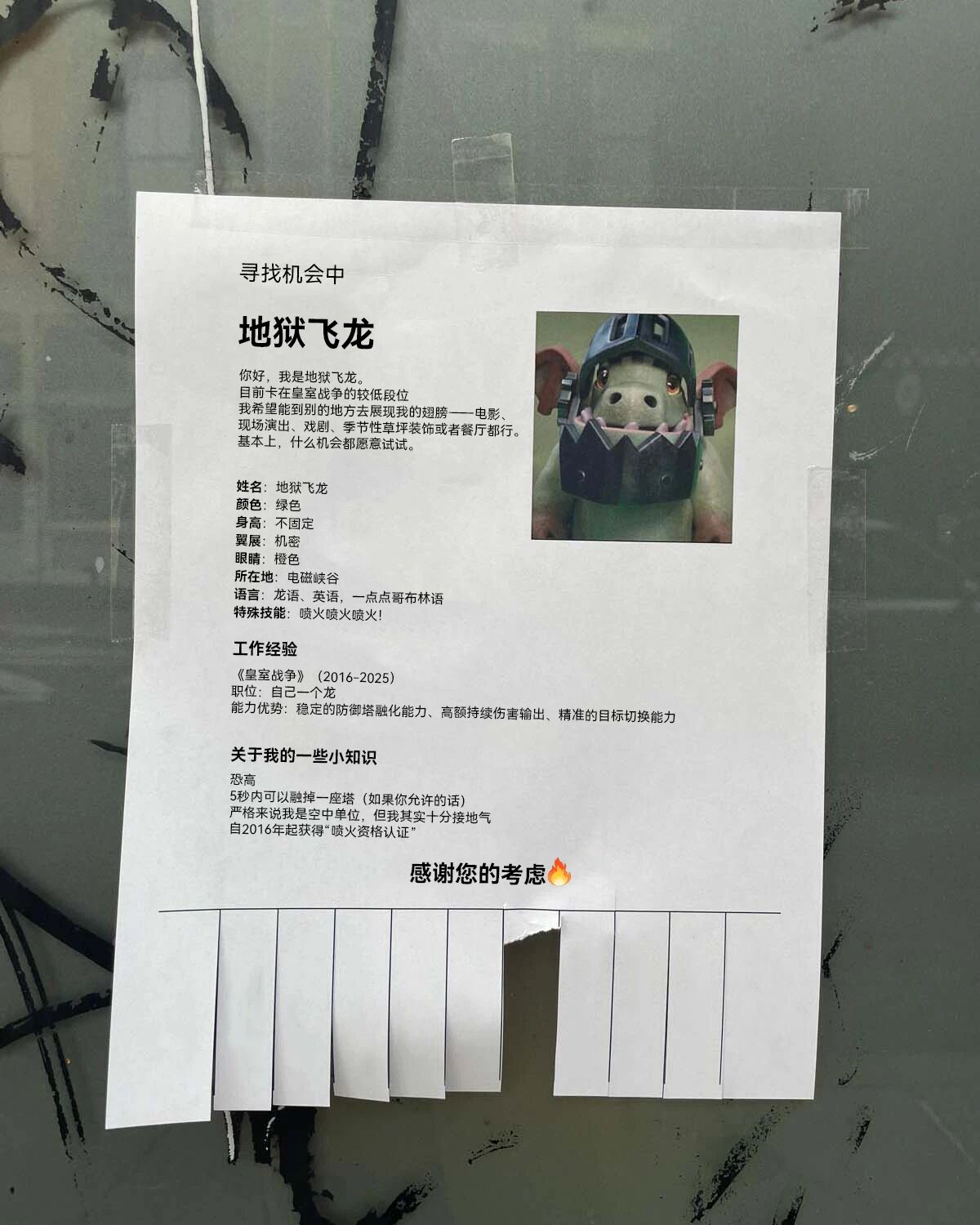 地狱飞龙也在春招