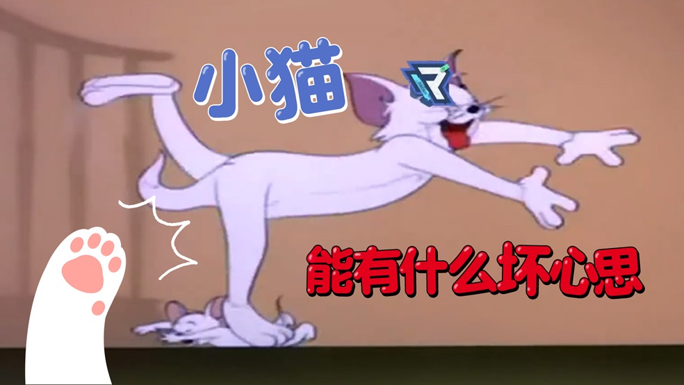小猫能有什么坏心思呢