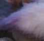 神秘贵客大猜想！更多细节曝光