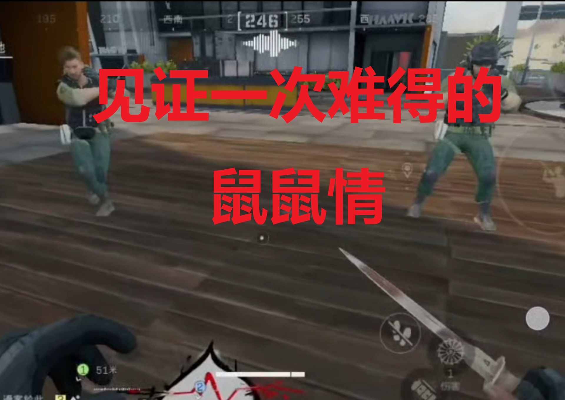 见证一次难得的鼠鼠情