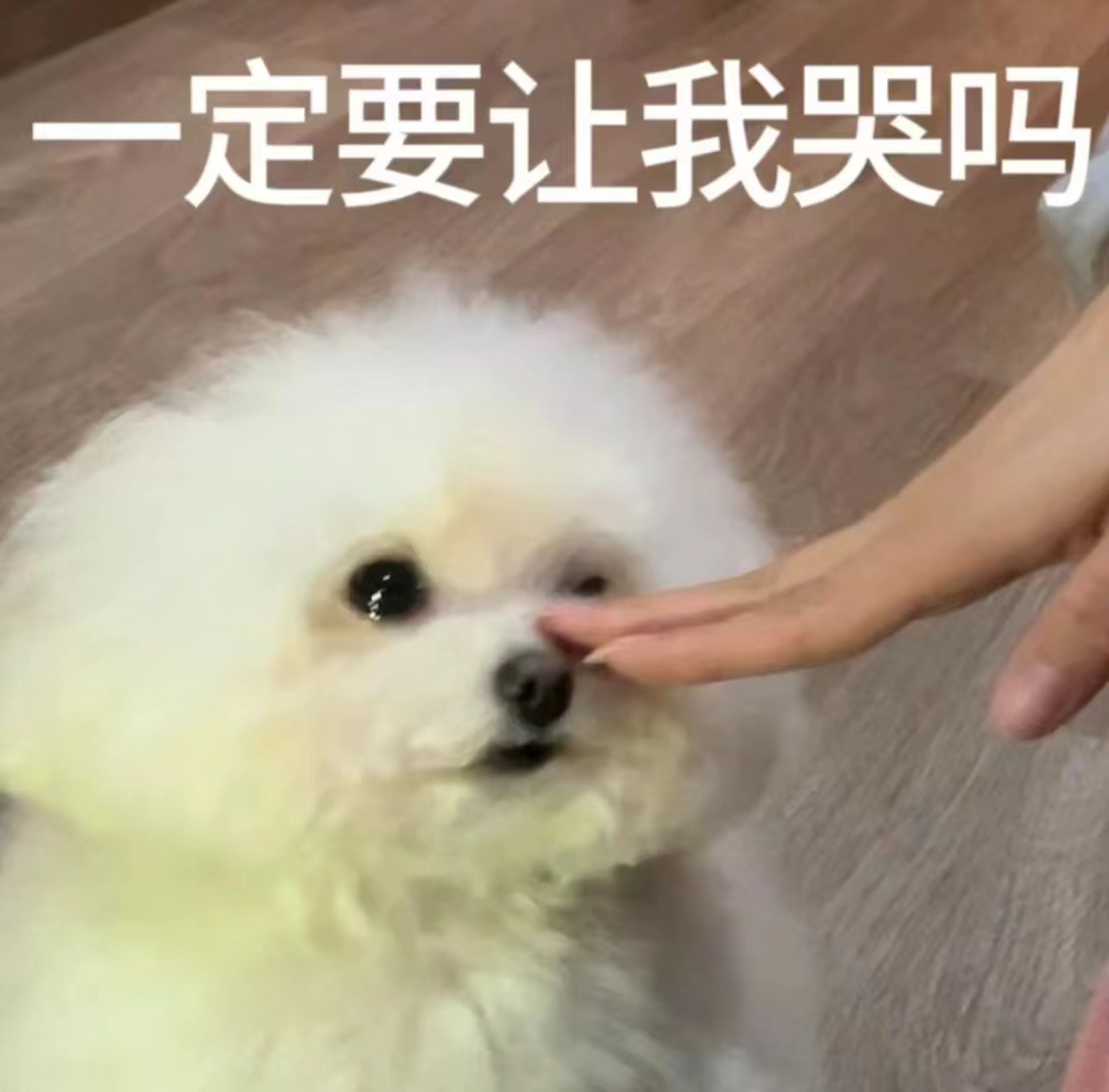 【有奖活动已结束】崩溃了，关于小师妹发现表姐【大师姐】真的很爱旅游那档事