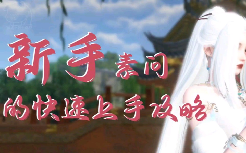 【逆水寒手游】新手素问的快速上手攻略第一篇：浅浅的认识一下素问