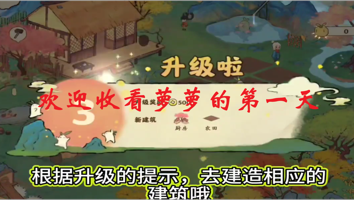 萝萝的第一天都该干什么