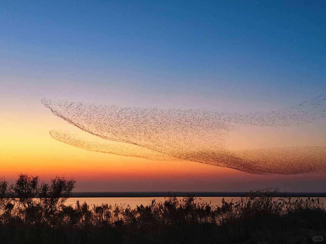 旅游黑科技颠覆体验，这款游戏用策略感打开新玩法