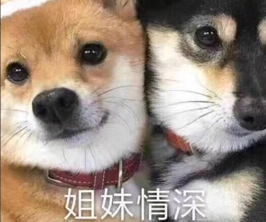 闺蜜宣言引热议 这游戏藏着更动人的同盟情