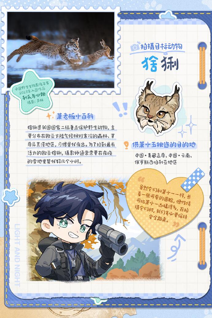 出发！和他的野生动物之旅 | 萧逸 × 中国野生生物影像年赛