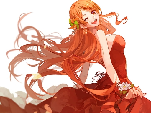 《维西之王》娜美人物背景