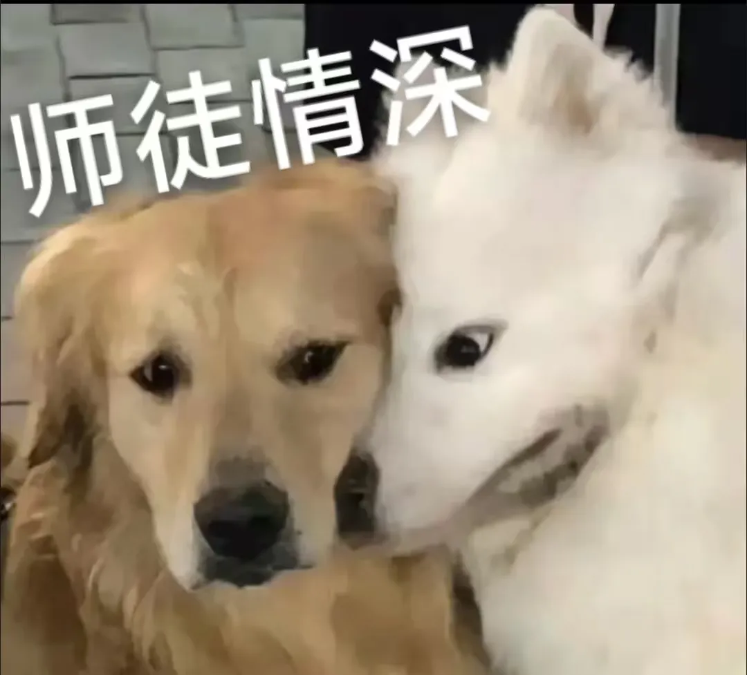 活动爆料丨谢师不必等待，报答师恩正当时！双倍师徒福利即将上线，这波必冲！