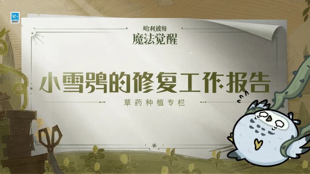 第5期 | 小精灵的修复工作报告