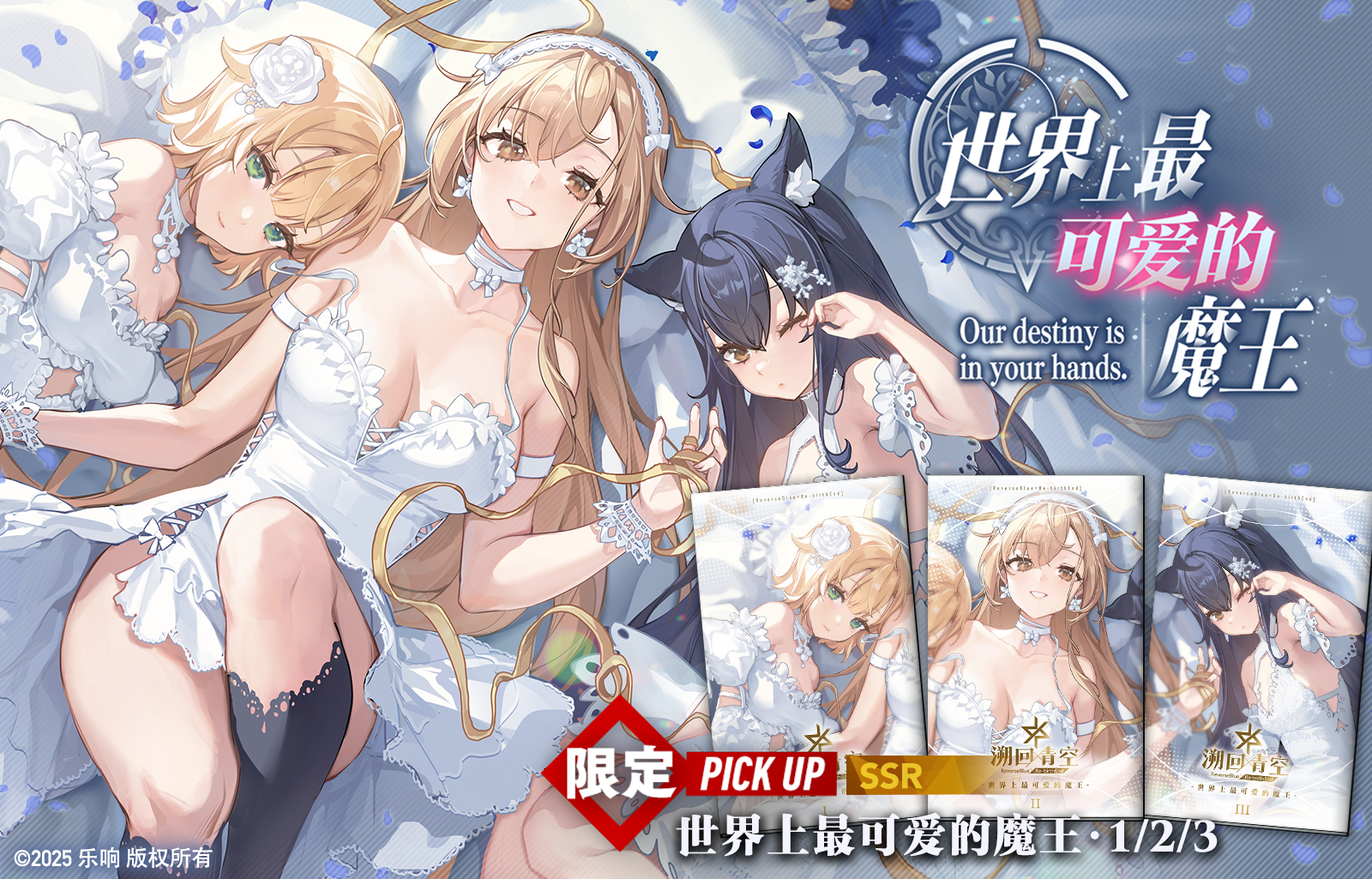 【新增精选忆本契约🐾开启】