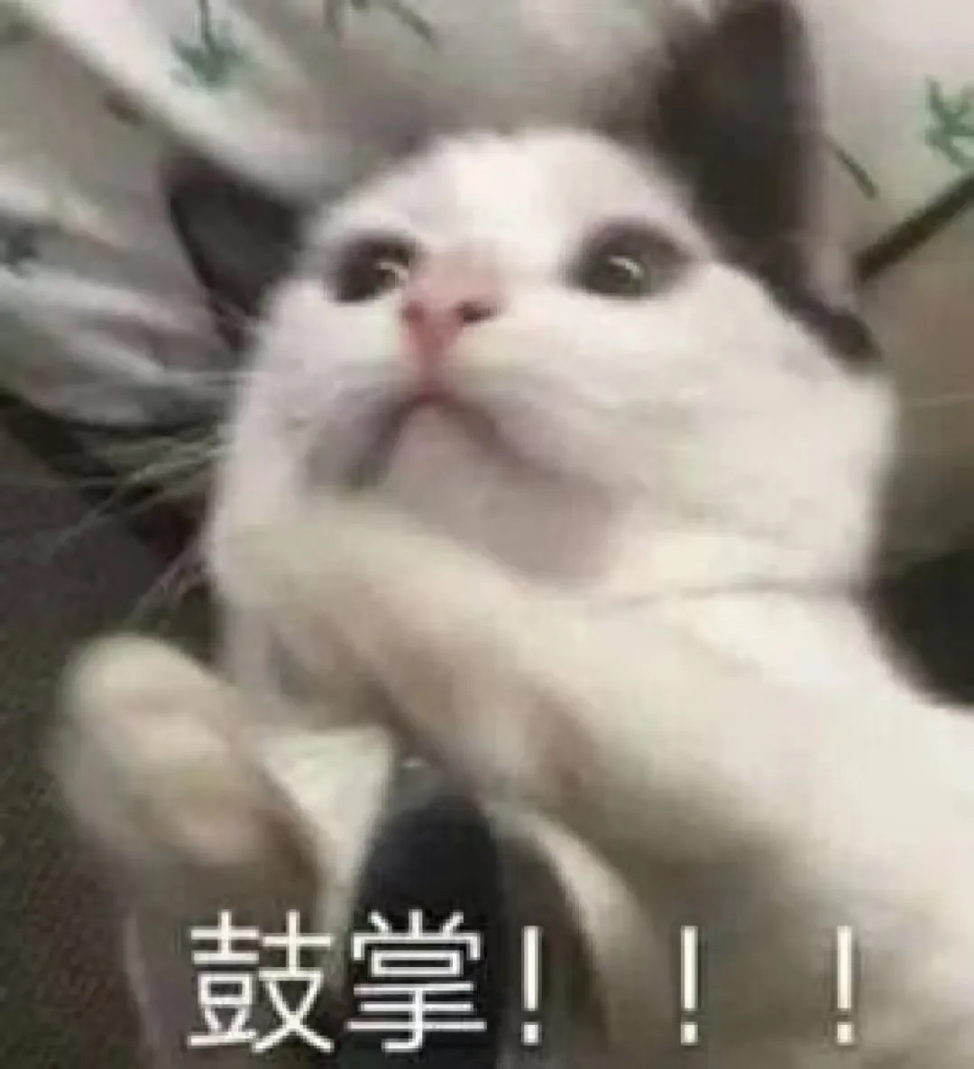 天龙十分钟丨10分钟让你当上天龙高手！江湖遍地是师父，速来查收这份攻略！