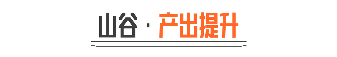 老皮带你们打！PVE赚钱焚诀给你了