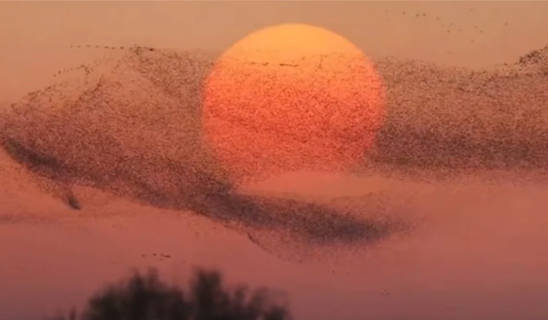 旅游黑科技颠覆体验，这款游戏用策略感打开新玩法