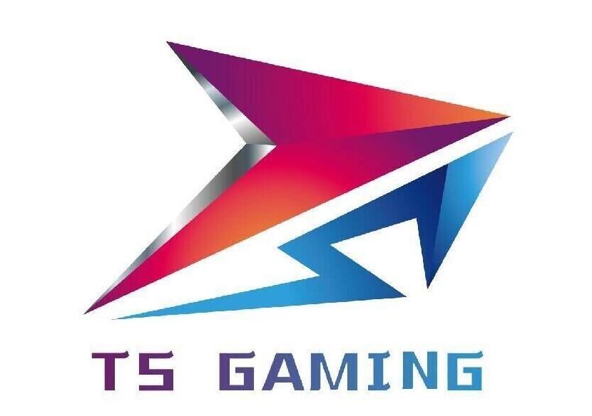 毕竟不同的管理,不同的环境,对于战队的影响是非常大的!