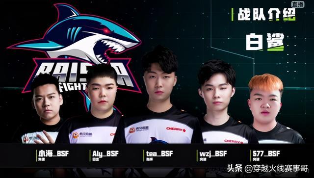 aly,tea,wzj和577都是白鲨cfdl冠军队伍的主力队员,加上一个新人小海