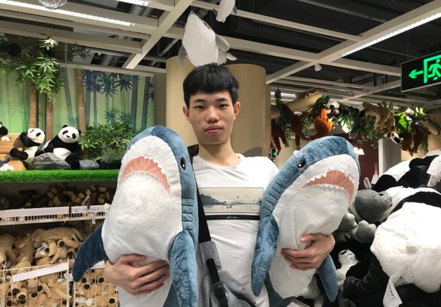 郭海丰鲨鱼图片图片