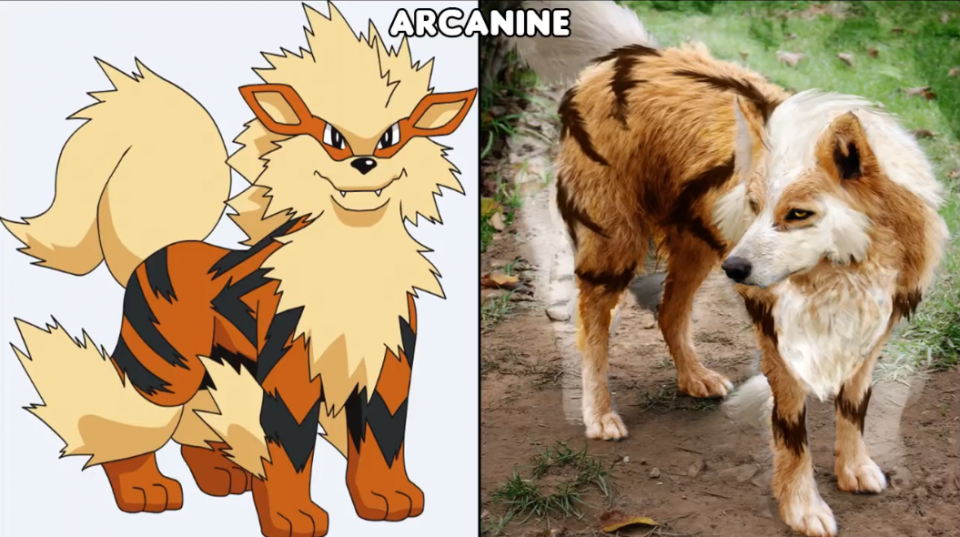 精灵宝可梦来到现实世界Ⅲ:妙蛙种子可爱到融化!走路草变成水果