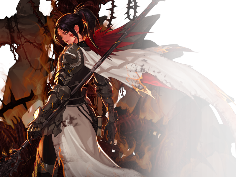 dnf女圣职者三觉数据出炉团长成为赢家四姨和巫女已凉凉