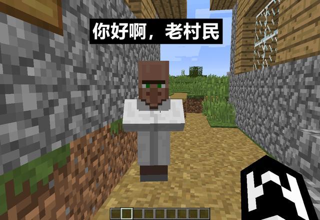 "村民:"哼~哼~"绿袍是傻子,白袍是卖附魔书,黑袍卖武器工具.