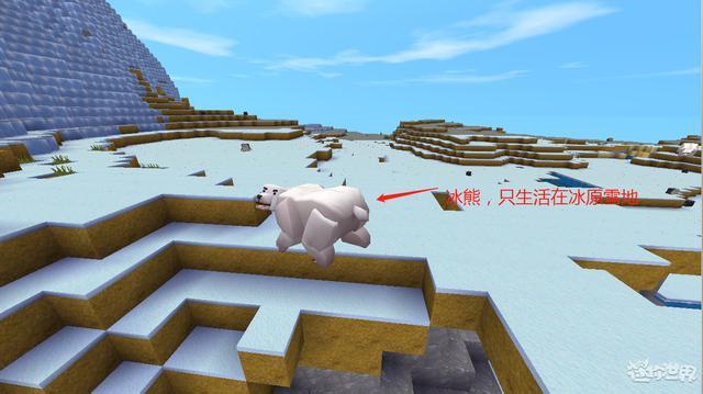 迷你世界企鹅有啥用?可以驯化吗?有吃不完的鱼都靠它