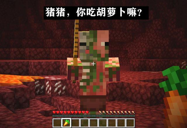 "当我试着喂它胡萝卜,却意外地打了他.