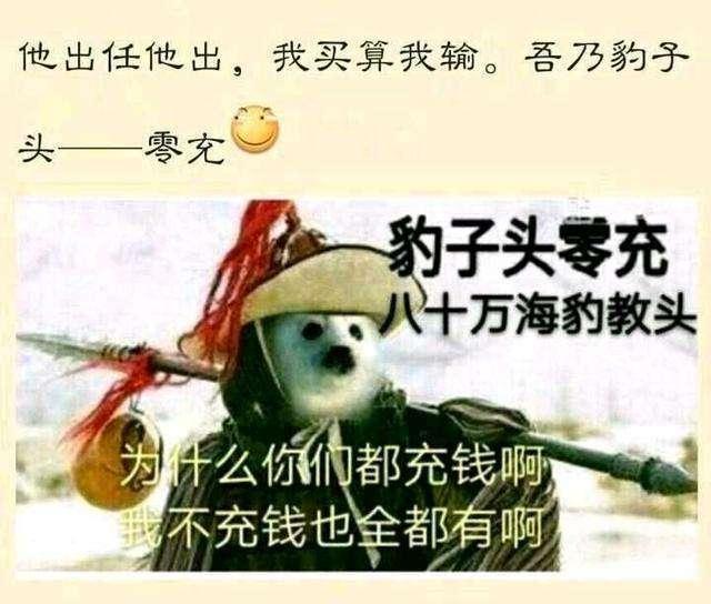 豹子头零充头像图片