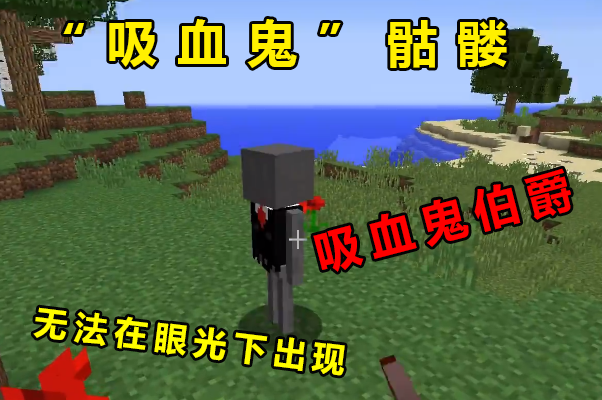 我的世界:mc中六种进化后的骷髅,狙击骷髅穿着吉利服吗?